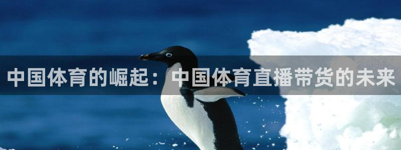 中国体育的崛起：中国体育直播带货的未来