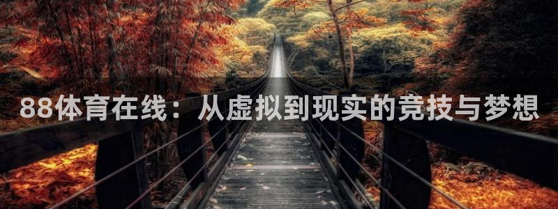 88体育在线：从虚拟到现实的竞技与梦想