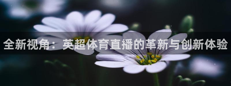 全新视角：英超体育直播的革新与创新体验